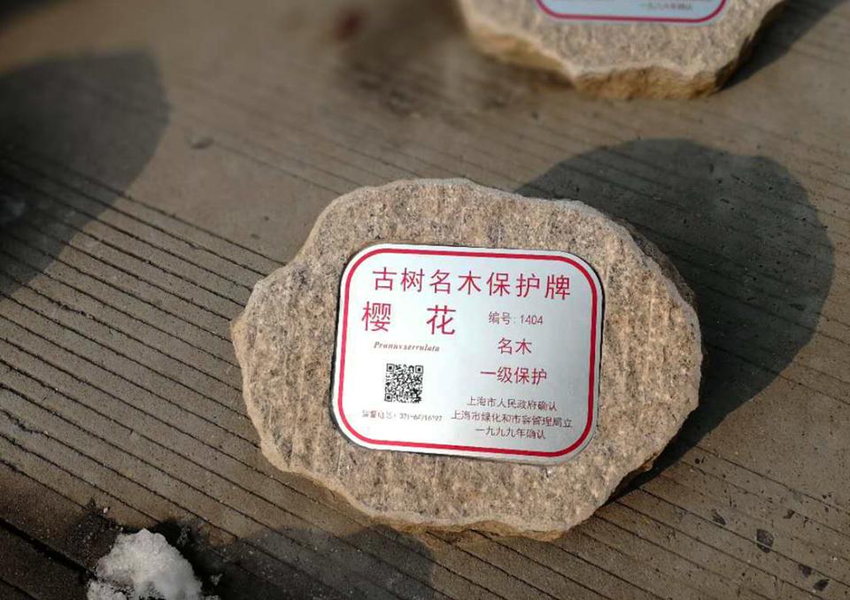 標(biāo)牌鋁牌制作：樹木銘牌標(biāo)牌
